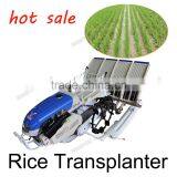 Low Price Rice Planting Machine Rice Seedlings Factory Direct Paddy Transplanting Machine 2.4kw 2ZS-4A thumbnail-1