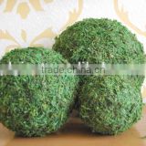 Foam core natural Marimo Moss Ball for decoration