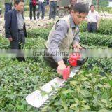 Hedge Trimmer Single Blade Hedgerow Machine GM 01-3CX-750 thumbnail-2