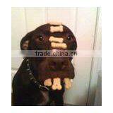 Automatic Pet Food Machine/plant/production Line Shery-0086-15553158922 thumbnail-6