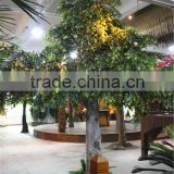 Home garden decoration 100cm to 1000cm Height artificial indoor live plastic ficus red with green big maple tree EZLS05 1011