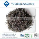 Dried Kombu Wakame thumbnail-1