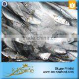 Hot Sale Competitive Prices Land Frozen Mackerel Fish Benefits thumbnail-5