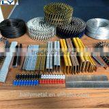 Cheap Price Supply 20ga, 10j Staples, 1022j 1019j 1016j 1013j 1010j 1008j 1006j Staples