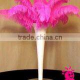 Wholesale Multicolor Decotation Ostrich Feather thumbnail-3