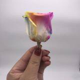 Preserved Rose Preserved Flowers Dried Flowers Birthday Valentine Party Wedding thumbnail-1