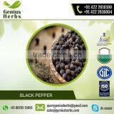 Good Quality Black Pepper From Top Certified Company thumbnail-2