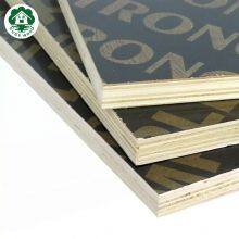 13mm Finger Joint Core Black Film Faced Plywood for Thailand Market thumbnail-5