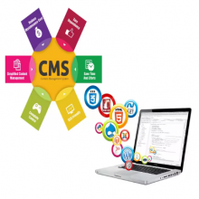 Best Content Management System
