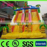 Commercial Inflatable Double Lane Slip Slide for Sale
