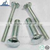 Din603 Stainless Stain Znic Plated Carriage Bolt for Sale