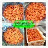 Various Shape Frozen Fresh IQF Carrots for Export thumbnail-1