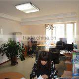 Shijiazhuang Shenghongyuan Trading Co., Ltd. company overview - view 3 thumbnail