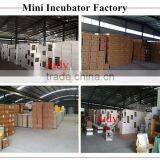 Fully Automatic Domestic Poultry Eggs Incubator With Humidifier/great Quality Egg Incubator thumbnail-6