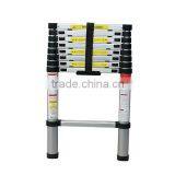 Telescopic Ladders, 9 Step thumbnail-1