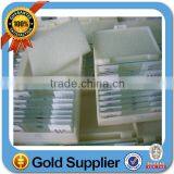 Teeth Medical Slides