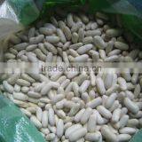 2014 Chinese White Kidney Bean With Cheap Price thumbnail-2