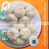Fresh White Garlic Exporter In China thumbnail-1