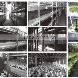Greenhouse Equipment, Aluminum Planting Frame,mushroom Planting Frame thumbnail-1