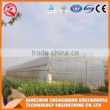 Agriculture Plastic Tomato Greenhouse Roll up Motor for Ventilation thumbnail-3