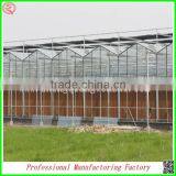 Low Cost China Manufacturer Multi-span Greenhouses With Hot-dip Galvanized Steel Frame thumbnail-4