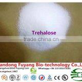 Trehalose as Food Additives in Cake Industry thumbnail-5