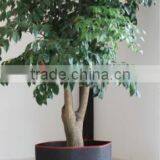 Non Woven Grow Bag for Plant,Indoor and Outdoor Planter Bags thumbnail-2