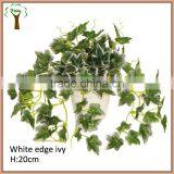 Artificial Sweet Potato Leaves White Edge Leaves Ivy Bonsai thumbnail-1