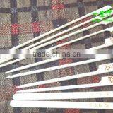 Bamboo Skewers thumbnail-1