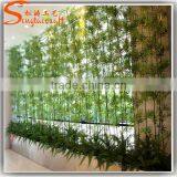 China Supplier New Product Bamboo Price Plastic Lucky Bamboo Plants for Sale thumbnail-4