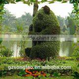 Wholesale Garden Decorative Aritificial Panda Topiary Large Artificial Green Carton Topiary thumbnail-3
