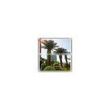 2016 Artificial Date Palm Tree For Swimming Pool Decoration thumbnail-2