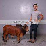 Definitive Brahman Looking Right thumbnail-5