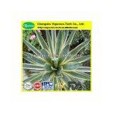 Natural Yucca Extract/yucca Extract Powder/yucca P.e. thumbnail-3