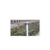 Garden Fence