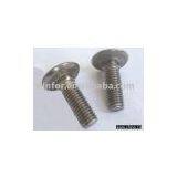 Carriage Bolt( Din603,fastener) thumbnail-1