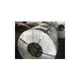 Cold Rolled Steel Strips(coil)