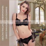 Woman Fashion Underwear Set Transparent Lace Bra and Brief Sets thumbnail-1
