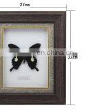 Nature Real Butterfly Frame Home Decoration Craft thumbnail-5