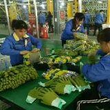 Qingdao Everpro Safety Product Co., Ltd company overview - view 4 thumbnail