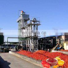 Tomato Fruit Juice Processing Line Vegetable Juice Production Line thumbnail-1