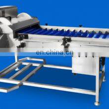 Automatic Double-head Root Removal Machine Scallion Garlic Cabbage Root Cutting Machine thumbnail-4