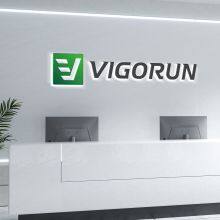 Vigorun Intelligence Tech Shandong Co., Ltd.(Vigorun Tech) company overview - view 1 thumbnail