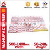 Silicone Coated Release Paper With Good Release Effect Against Sticky Materials Chian Supplier