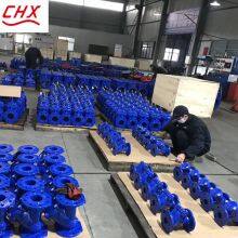 DIN Excellence PN10/16 150LB DN50-300 GGG50 Ductile Cast Iron Ball Type Check Valve Soft Seal Durable Swing Manual General thumbnail-6