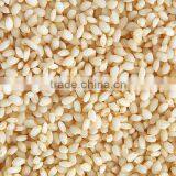HOT SELLING SB-10D RICE MILL thumbnail-6