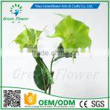 Greenflower 2016 Wholesale Real Touch Latex PU China Artificial Flowers Datura for Wedding Decoration thumbnail-1