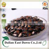 Melon Seed Website With High Quality thumbnail-1