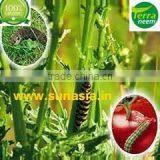 NEEM KERNEL CAKE IN COMPETITIVE PRICE thumbnail-1