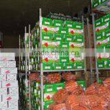 Chines Bulk Fresh Carrots Fresh Carrot Price thumbnail-6